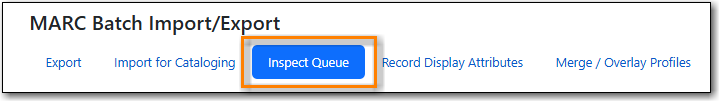 images/cat/marc/marc-import-view-queue-1.png
